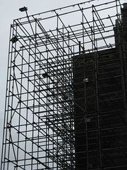 Scaffold Matrix